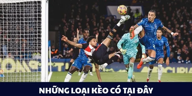 Những loại kèo có tại đây