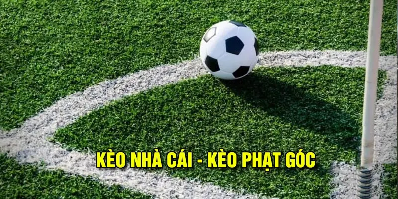 Kèo nhà cái theo tỷ lệ kèo góc